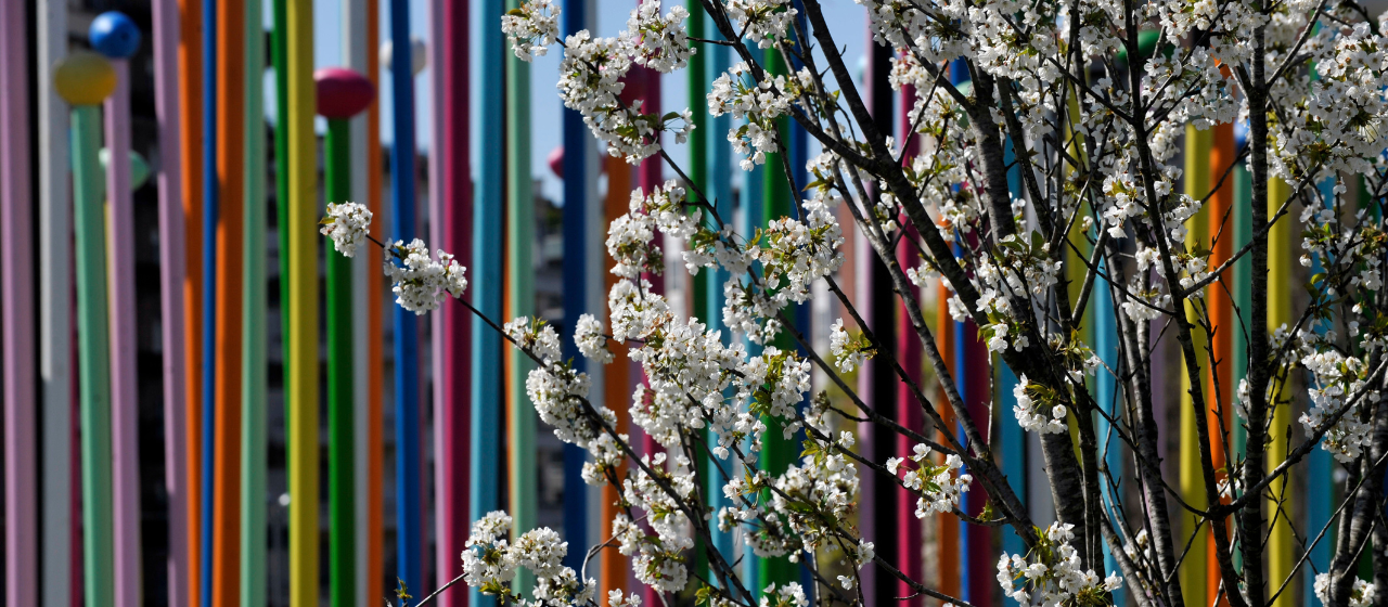 Springtime in Milano means design and flowers - pic by Comune di Milano